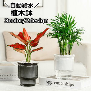  Aؔ  t[|bg t ȒP ی^ ϗtA A | K[fjO  킢  Vv s sݎ