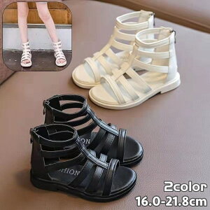  OfBG[^[T_ LbY WjA ̎q K[Y tbg obNt@Xi[ ANXgbv ƃWbp[ [q[ ؂ y^R I[vgD Vv