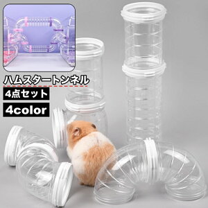  nX^[gl 4_Zbg 4p[c nX^[pCv ybgp p AX`bN WCg `[u A gݗ XgXU V ^s 