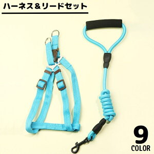  n[lX [h Zbg ybgpi ^ ^ L Obvnht  xXg  [v UR [V