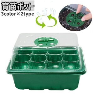  c|bg 6 12 Wt Jo[ ʋC cgC c ܂  琬 ͔|  vX`bN ƒ؉  A