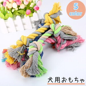  p [v ނ p Ck hbO ybggC ybgp ybgpi ^  XgX ^s