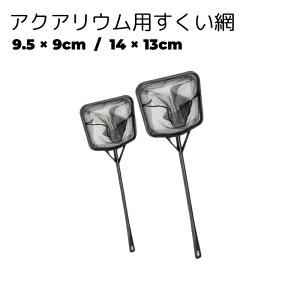  Ϗ܋p  ANAEpi lp` ubN ׂ eiX | Mы 