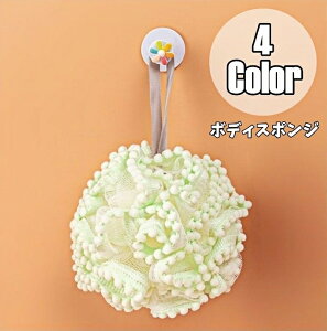  {fBX|W oXX|W {fB^I EHbVX|W oXObY w ̐ A CObY [vt 