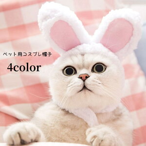  ybgpRXvXq RX`[ Ԃ蕨 ybgpi Lp p ^ ETM   ӂӂ 킢 j[N {A Cxg nEB ybgObY ˂ lR