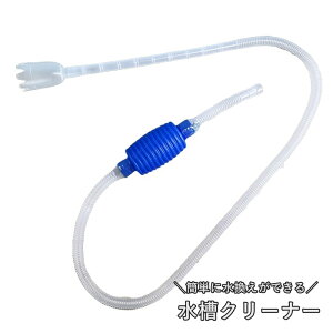  N[i[ ANAEp z|v 蓮  |pi ւ  t| N[i[ TCtH