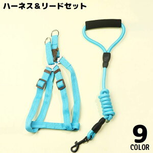  n[lX [h Zbg ybgpi ^ ^ L Obvnht  xXg  [v UR [V