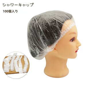  V[Lbv 100 ĝ RpNg  NA wA[Lbv h  ѐ J[O wAJ[   oX[