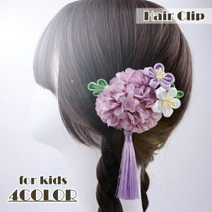  wANbv LbY WjA a  wAANZT[ ΂Nbv t[   킢  ̎q qp ܎O Be 