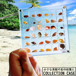  RNVP[X AN 36}X }Olbg fBXvC [ Lk VF Xg[ NA  ANZT[