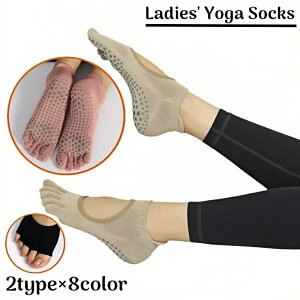  K\bNX  C wʂ ܐȂ  5{w ~ ɂ V[g Ԃ tBbglX seBX