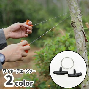  C[`F[\[ gт̂ nfB?`F[\[ AEghA ToCo RpNg ^ nfBTCY y Lv