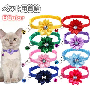  ybgp t L ^ ˂ lR  Ck  t[  DJ ybgpi ybgObY 킢 