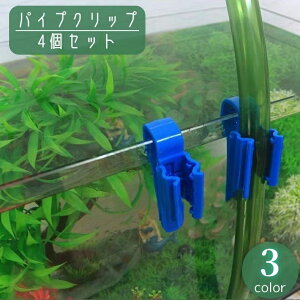  pCvNbv p 4Zbg z[X pCv Œ z[XL[v ߉\ |   ANAEpi pi