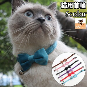  Lp Z[teBobN J[ {t т `[J[ lN^C t n Vv ˂ L lRpi ybgObY ߂  