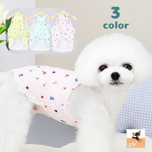  ybgEFA hbOEFA  L L~\[ Ȃ vI[o[ [X ybgpi ̕ L̕ U m Vv   ybg̕ LbgEFA yb