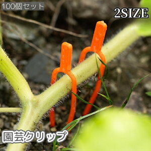  |Nbv 100Zbg tH[N A s   Œ U ߂ n y K[fjOpi _  C`S XCJ Tc}C ȒP ֗