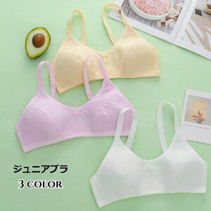  WjAu mC[u n[tgbvu uW[  qp WjA w w JbvȂ pbhȂ X|[cu n PF Vv ig  