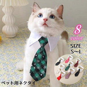  ybgplN^C L  ybg Lbg hbO lR lN^C  Lbg  ybgpX^C   }WbN e[v