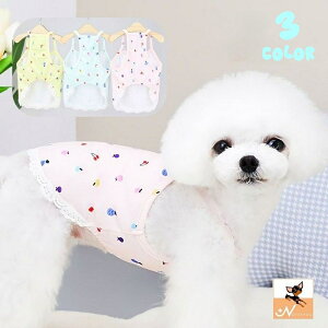  ybgEFA hbOEFA  L L~\[ Ȃ vI[o[ [X ybgpi ̕ L̕ U m Vv   ybg̕ LbgEFA yb