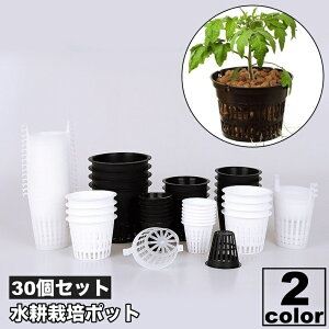 �������� ���k�͔|�|�b�g ��c�|�b�g 30�Z�b�g �A�ؔ� ��c �K�[�f�j���O�p�i ���b�V�� �A�� �� �ϗt�A�� ��� �A���琬�J�b�v �����͔| ���| �ʋC�� �u���b�N �z���C�g �� ��