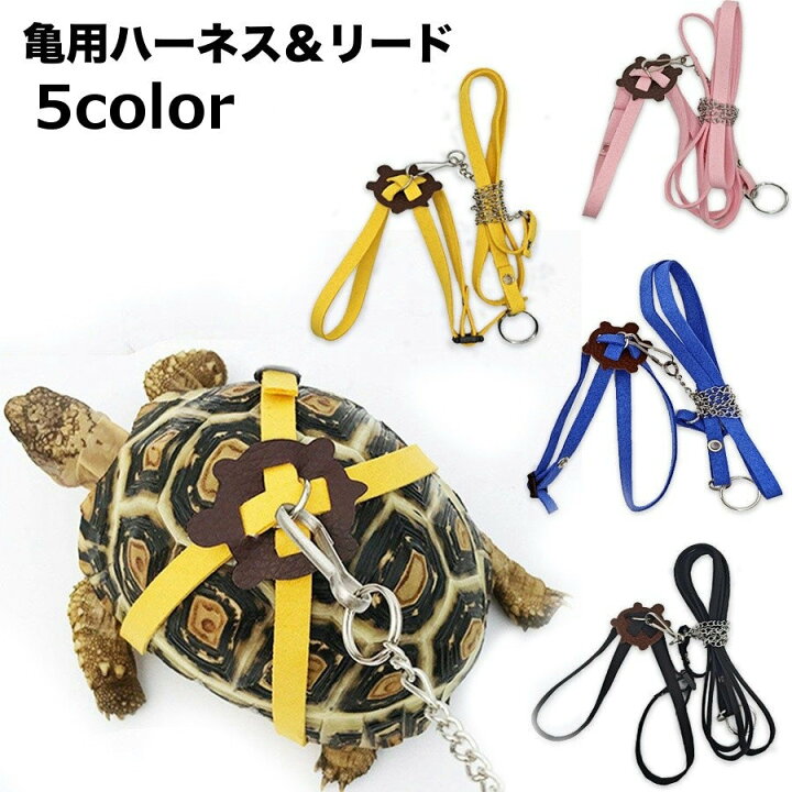 楽天市場】送料無料 亀用ハーネス リード 2点セット ペット用品 