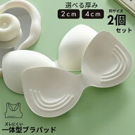 送料無料 ブラパッド 2個セット ブラジャーパッド 一体型 バストパッド レディース ブラカップ スポーツ…