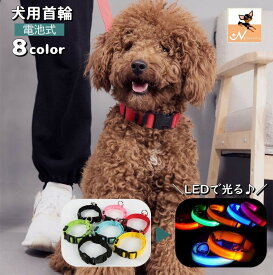 送料無料 首輪 カラー 光る LEDライト 電池式 犬用 猫用 ペット用品 点滅 ワンタッチバックル サイズ調節可能 Dカン付き シンプル 夜間 散歩 ペットグッズ 外出 お出掛け イヌ用 いぬ用 ネコ ねこ