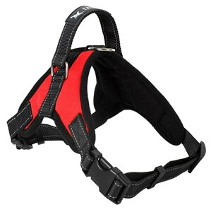  ybgp pn[lX  xXg ^ ^p U o| ʗp Ckp DOG hbOEFA hbOEGA ybgObY ybgpi UObY n qE Ip[