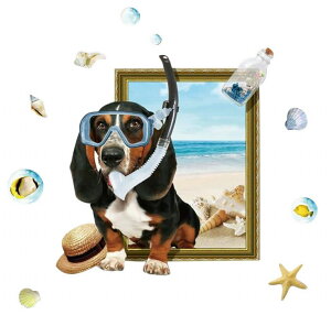  EH[XebJ[ O\ ǎV[ Lb` C  Lk } 3D  ͗lւ p[eB Cxg CeA IV  rO Q q u₩ 