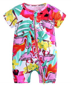  Jo[I[  EhlbN WbvAbv V nCA AWA  Jt   ĕ xr[