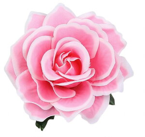  wANbv u[` 2WAY wAANZT[ wbhhX RT[W t[`[t  fB[X   wAAW  p[eB[ Ă΂ ؂₩  