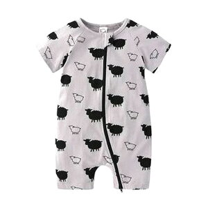  Jo[I[  EhlbN WbvAbv V nCA AWA  Jt   ĕ xr[