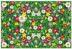  EH[XebJ[ EH[V[ ǃV[ ǎV[  Ǒ  [fR[V k CeA DIY rO \t@[ er q LbY Q x