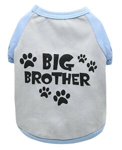  hbOEFA  TVc p pi ybg ̕   p Vv vg |bv  t  ^   Ck hbO ybg ybgpi ybg 񂿂 