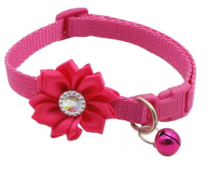   Lp J[ ߉ t  t[ y Jt CAT L ybgpi Lpi ybgObY  킢 