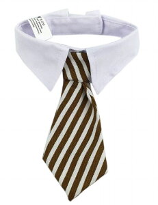  lN^C ybgpi ybgObY `[J[  Ck hbN L lR Lbg ߉ ݕt  X^[  XgCv U EH[LO