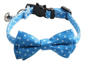  Lp J[ hbg  { lN^C  ߉ CAT L  ANZT[  ߂ ybgpi LObY