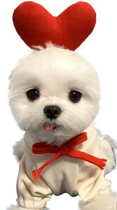  ybgpRX`[ RXv p 񂿂 hbOEFA  ybgpi LbgEFA t[ht g[i[ t[fB[ u N { U o Oo C