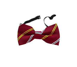  lN^C LbY q j̎q ̎q t@bV ߉\ tH[}   w  p[eB[ Cxg \ o 