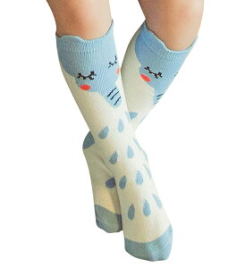  C \bNX nC\bNX O qp q LbY xr[ j̎q j ̎q  {[_[     06