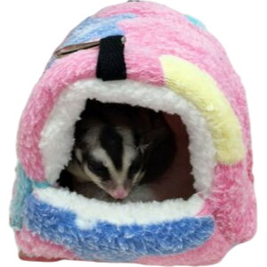  pnEX nbN ^ybgp Q Q Q xbh  {A t[X  g nX^[  킢 ݂艺t B Vя ʐ^Be 