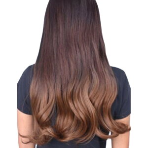  EBbO fB[X t    J[ EG[uwA Xg[g ܂wA C`F wAAW    t@bVG