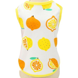  hbOEFA ̕ ^Ngbv ybgpi ^ ^ L m m[X[u Ȃ  vg gbvX Jbg\[ pCsO ʕ t[c JWA 킢 