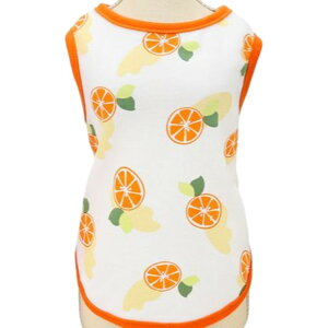  hbOEFA ̕ ^Ngbv ybgpi ^ ^ L m m[X[u Ȃ  vg gbvX Jbg\[ pCsO ʕ t[c JWA 킢 