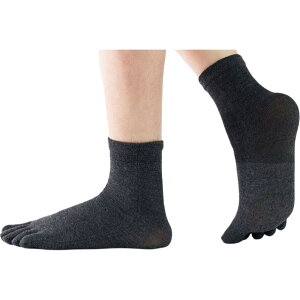  5{wC 5{w\bNX Y jp am   ܖ{w V[g N[ n PF ubN zCg lCr[ JWA Vv   ig fC[ t