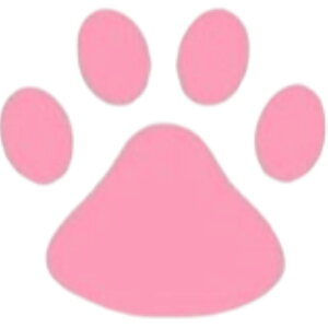  J[XebJ[ ԗpXebJ[ 4Zbg V[ LYB wR~B ՃXebJ[ XebJ[  ʔ L̑ ̑  ԑ   ԗp J[pi 