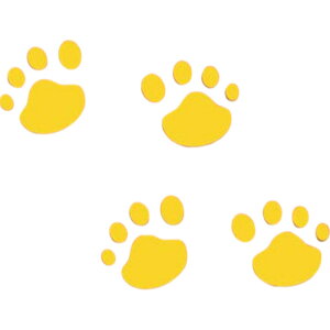  J[XebJ[ ԗpXebJ[ 4Zbg V[ LYB wR~B ՃXebJ[ XebJ[  ʔ L̑ ̑  ԑ   ԗp J[pi 