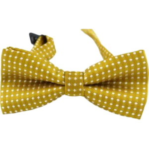  lN^C LbY q j̎q ̎q t@bV ߉\ hbg tH[}   w  p[eB[ Cxg \ o  JoLx