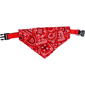  ybgpo_i XJ[t X^C 悾ꂩ p Lp  `[J[ ybgpi ^  킢 ߂ ANZT[ U o Mtg v[g 